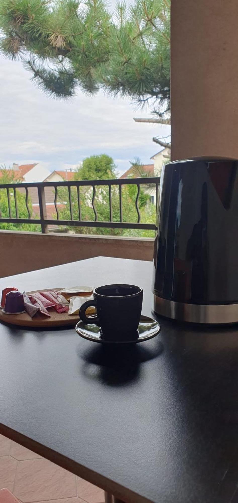 Apartment Evasion - Orly A 12 Min De Paris Paray-Vieille-Poste